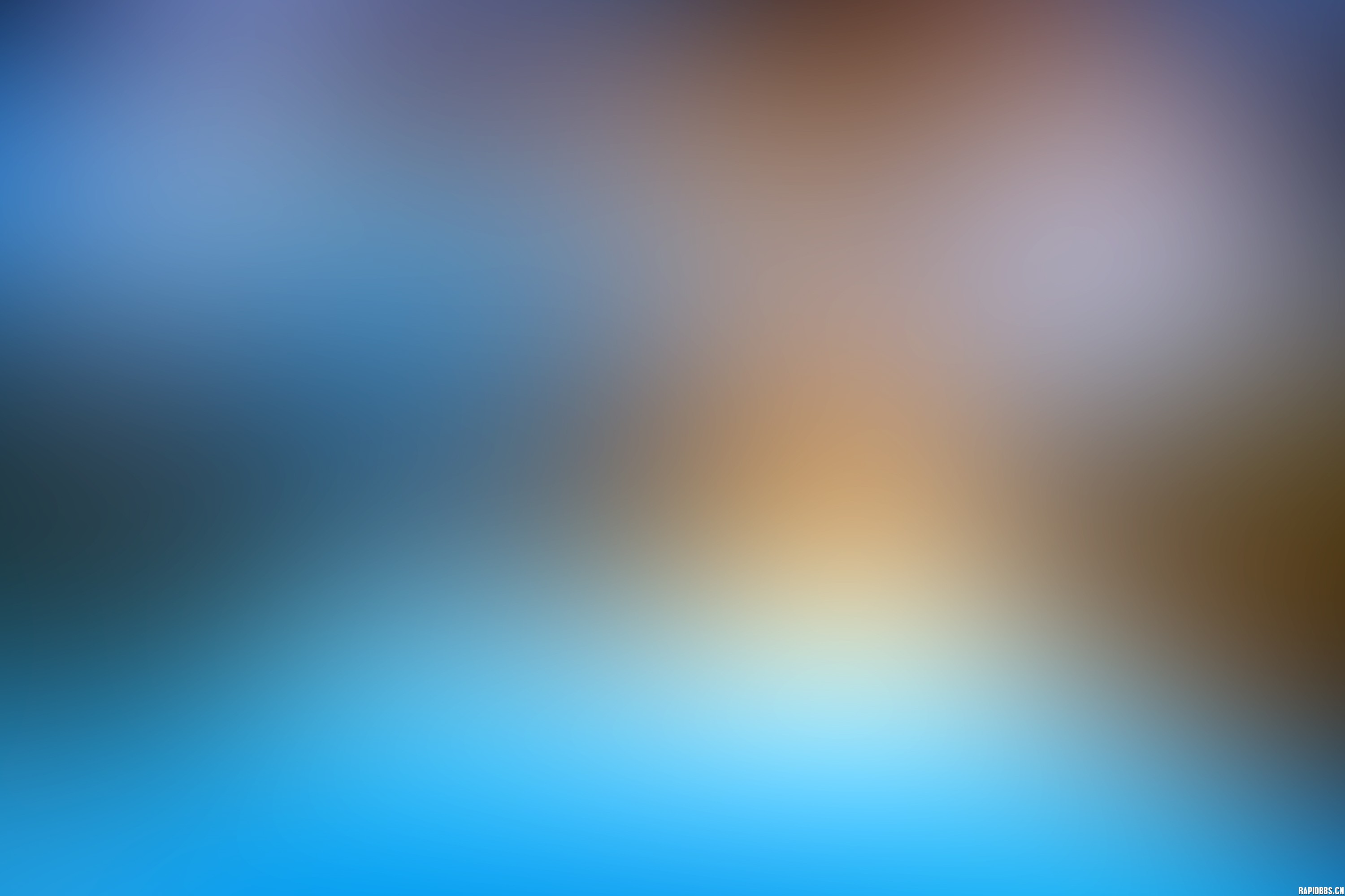 白山山皮石当前采购价格是多少？