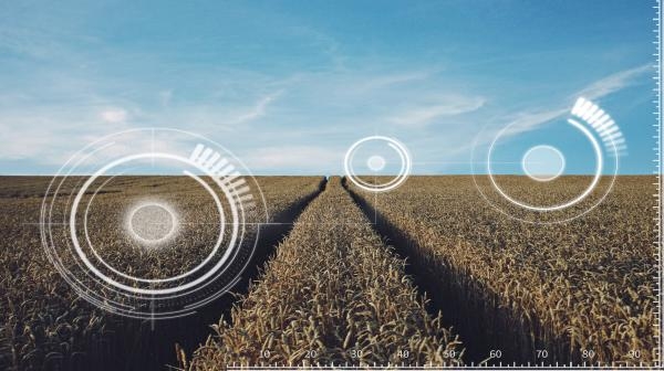 道路石灰的“废墟美学”与时间印记