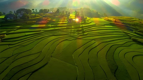 大庆熟石灰批发 - 白灰厂家在线报价