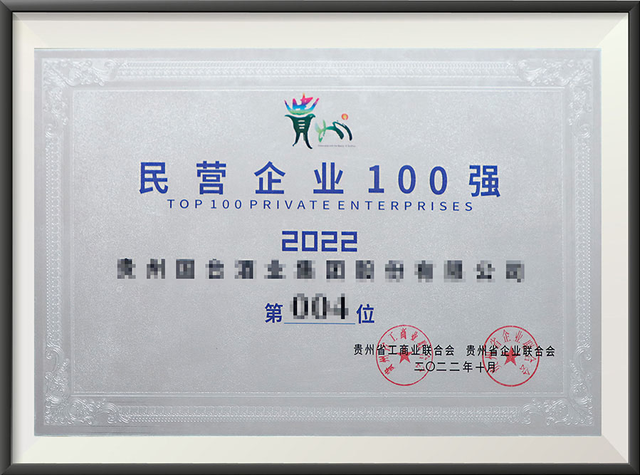 民营企业100强演示证书