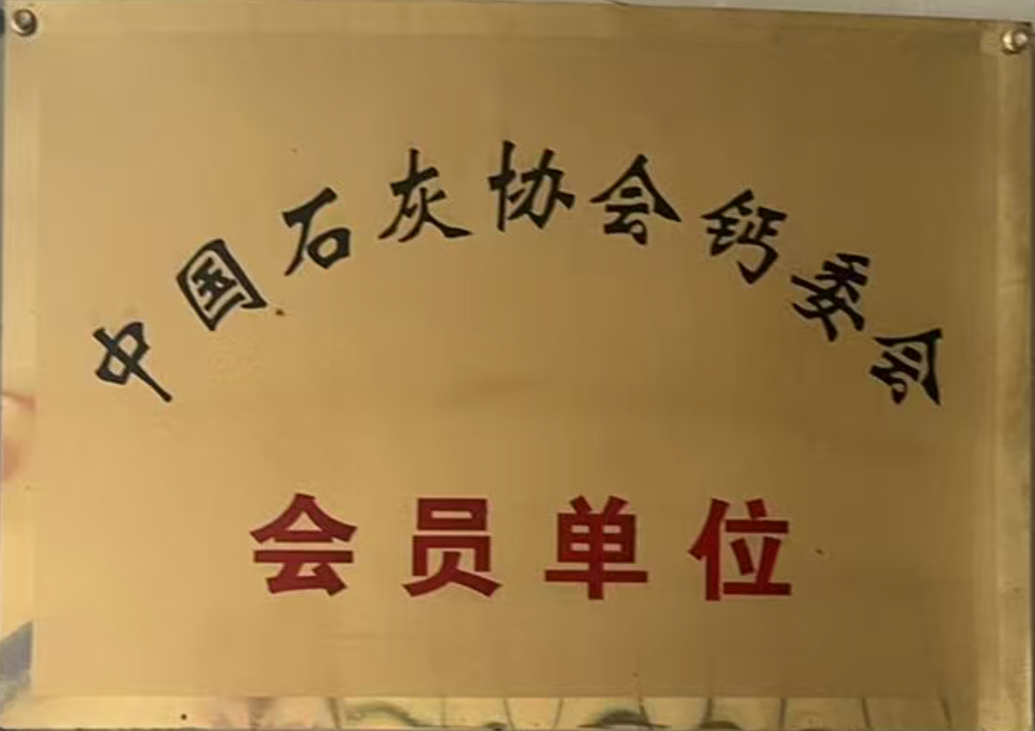 中国石灰协会会员