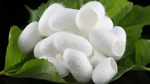 灰土共生&mdash;&mdash;石灰在土壤修复与重金属钝化中的应用